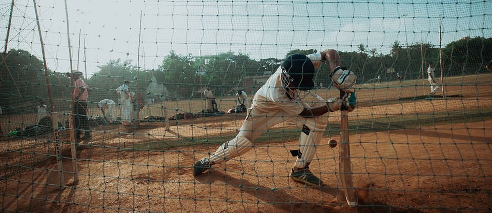 2 Cricket.jpg