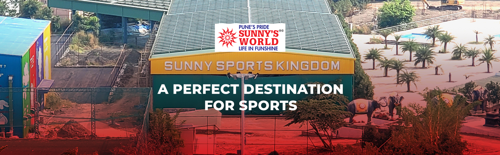 sunny banner.png